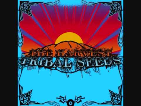 Tribal Seeds - Libertad ft. Dready