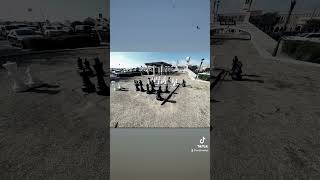 Download lagu ‭‭1 Pedro‬ ‭4‬:‭10✌🏼 mp3