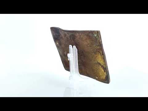 PLÅTMYNT, replika, 1/2 Daler, 1718.Beskrivning