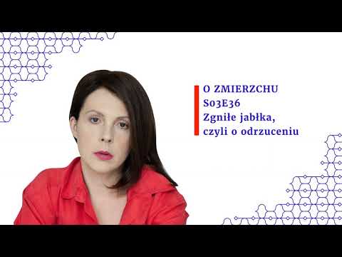S03E36 Zgniłe jabłka, czyli o odrzuceniu - O Zmierzchu