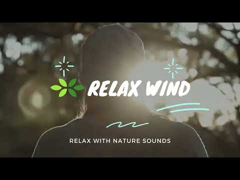 Nature Sounds - Relax Wind
