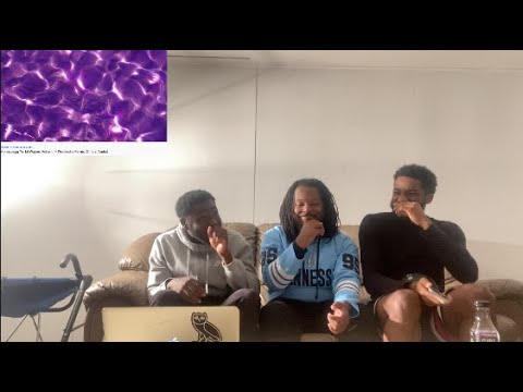 Moneybagg Yo, Lil Wayne, Ashanti – Wockesha Remix [Official Audio] | REACTION