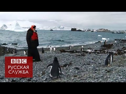 Как патриарх Кирилл гулял в Антарктиде с пингвинами