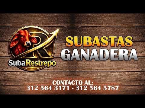 Subastas Ganaderas Restrepo Meta - 10-06-2026