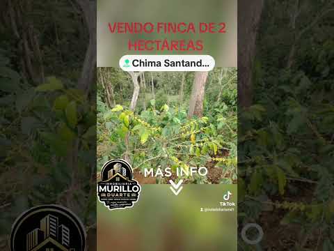 🌿 ¡PARCELA DE 2 HECTÁREAS EN VENTA EN CHIMA, SANTANDER! 🏡 | GRAN OPORTUNIDAD DE INVERSIÓN