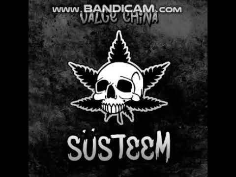 Väike Pede-Ansambel Valge China - Süsteem