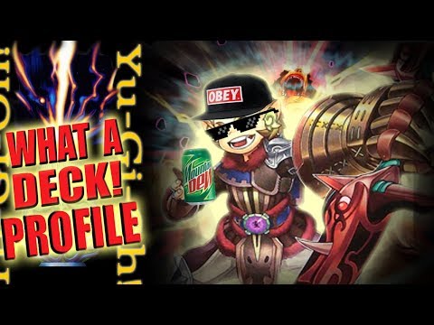 ZOODIAC BOARBRO BEATDOWN - What a Deck Profile! - January 2018 - Yugioh!