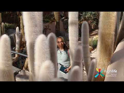 YouTube Video Preview