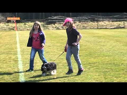 FC Südburgenland : LUV Graz