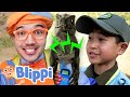 BLIPPI Giant Dinosaur Adventure At T Rex Ranch T Rex Ranch Dinosaur Videos