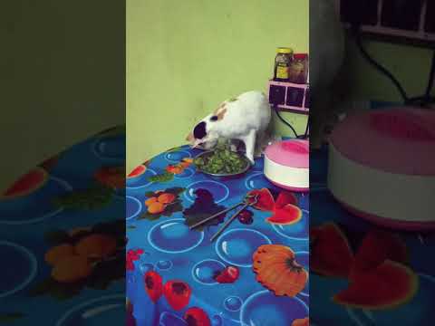 She is so adorable...