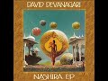 david devanagari generalife radio edit