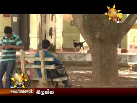 Hiru News 9.30 PM June 22, 2015