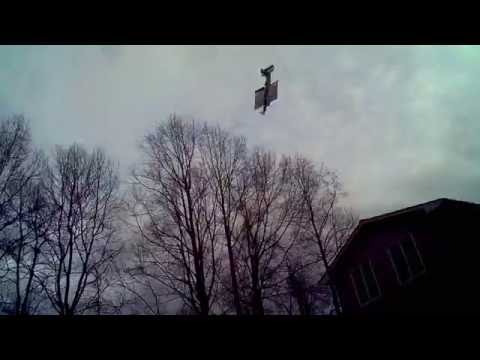 P031015B       SCHIZOID LAWN DART  ( INTENSE)