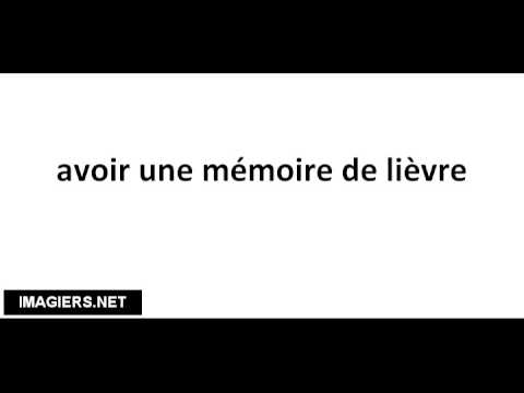 Pronounce French with Vincent # avoir une mémoire de lièvre