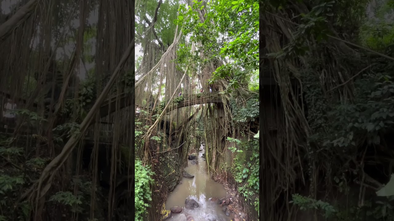 YouTube Short thumbnail