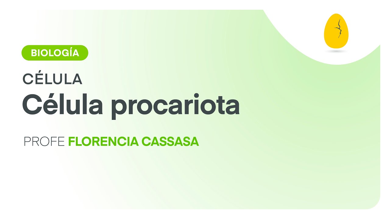 Célula procariota | Biología | Célula | V1 | Egg Educación