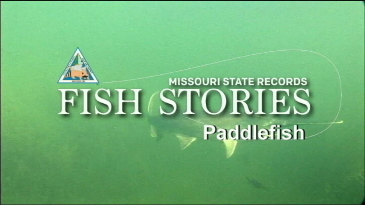 Missouri Record Fish Stories - Paddlefish