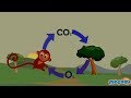 Oxygen Cycle Explained Oxygen Facts For Kids Educational Videos By Mocomi