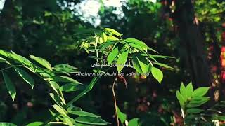 Download lagu STORY'WA SELAMAT PAGI 30 DETIK TERBARU || QOUTES SHOLAWAT AS-SA'ADAH (TOMBO ATI) mp3