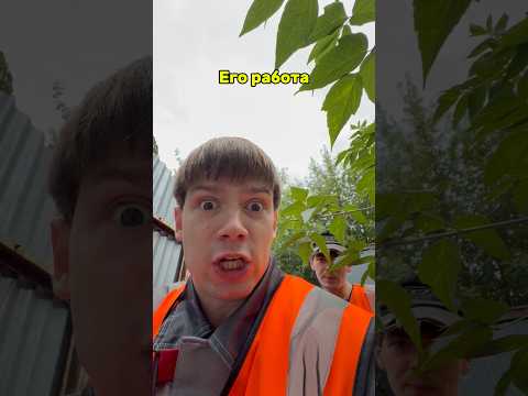 🍁 Работа