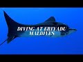 Scuba Diving at Eriyadu Island Resort Maldives