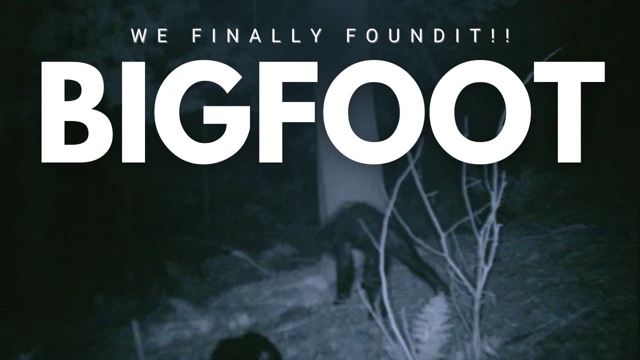 YouTube Thumbnail Downloader FULL HQ IMAGE