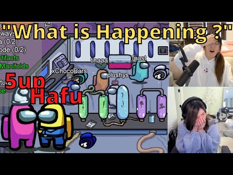 REACTION of 5up Hafu STACKING bodies in Specimen!