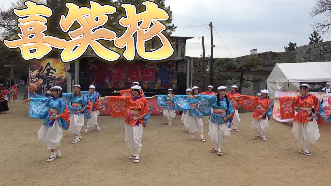 【2026 和歌山】喜笑花 (肉よさ) 和歌山市 2026.3.22(日)