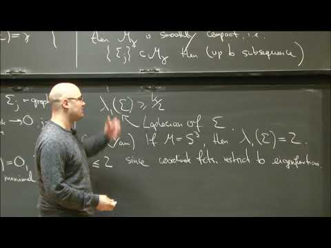 The systole of large genus minimal surfaces in positive Ricci curvature - Henrik Matthiesen