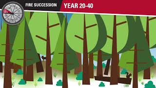 Introduction to Fire Ecology