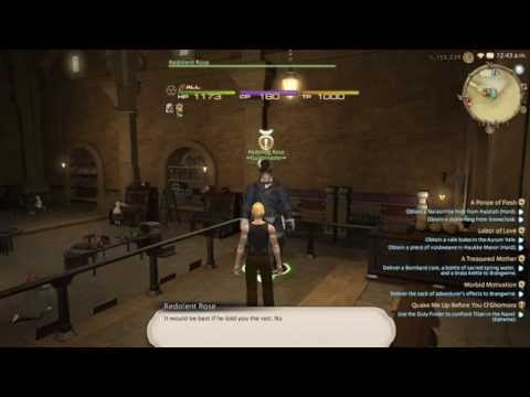 FFXIV ARR: Designed by Committee (Quest Weaver LV35) Cutscene
