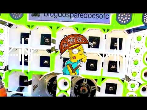 FORRÓZIN DE PAREDÃO 2K24 - MODO LOUCONA - RAMONZIN LAPADA