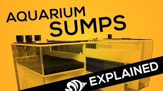 Aquarium Sumps EXPLAINED: Your Hub for Water Filtration and Automation Hardware