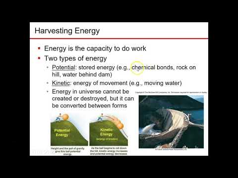 Microbiology Chapter 6 part 1