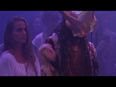 Coral Cross III (2017) by Jorge Elbrecht and Max Hooper Schneider #BasFisherInvitational