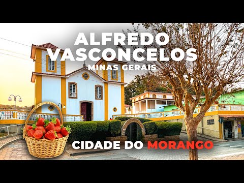 Assista ao vídeo