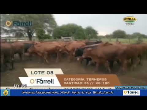 15-11-22 - 99º Remate Televisado de Iván L. O Farrell - Tostado, Santa Fé