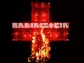 Rammstein - Нагнись! ( Buck Dich На русском ).mp4 