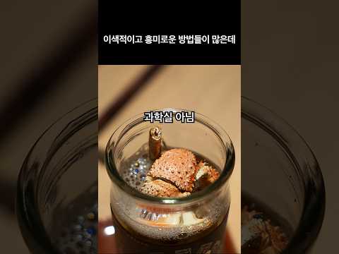 전국 최초 '컵사케 전문점'에서 만나는 이색적인 사케 체험