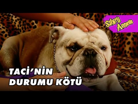 Taci, Hasta Oldu! -  Sihirli Annem 21.Bölüm