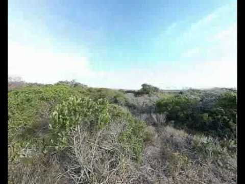 ±21.4133ha Land for Sale in 25Km From Mosselbay | Property Garden Route | Ref: H4545