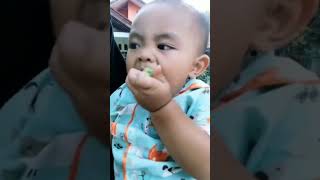 Download lagu ekspresi lucu bayi makan belimbing wuluh#bayilucu,#belimbingwuluh mp3