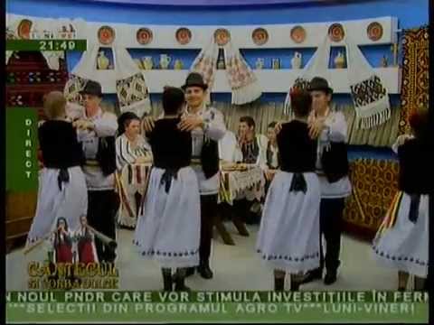 ANSAMBLUL CRAISORII MOTILOR - Dans 3