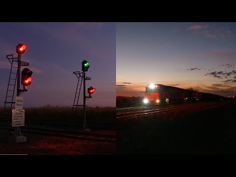 5PM5 Pacific National Container Train (16/1/2022) - PoathTV Australian Railways