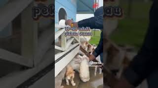 Download lagu ANTARA TEMPAT MENARIK DI KUNDASANG mp3