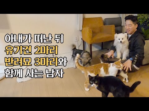 강아지 2마리, 고양이 3마리 반려동물을 홀로 키우는 남자의 삶