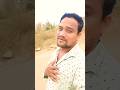 Sapna Na Ashunu Tu Ashijau Odia Album Short Vedio Shortsvideo Youtubeshorts
