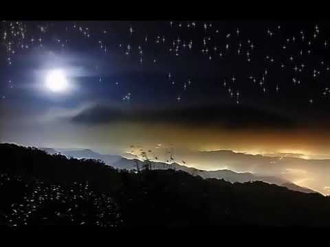 Na Presença De Anjos - Roy Fields