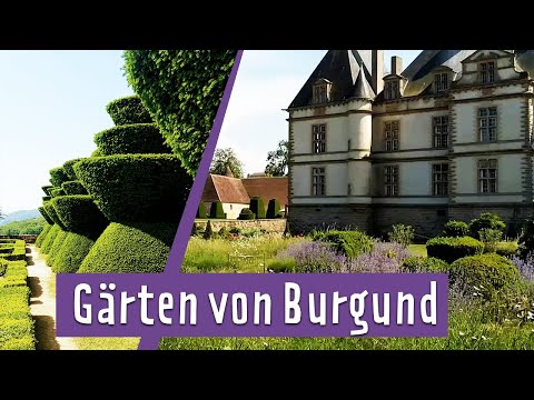 Gartenreise nach Burgund | MDR Garten
